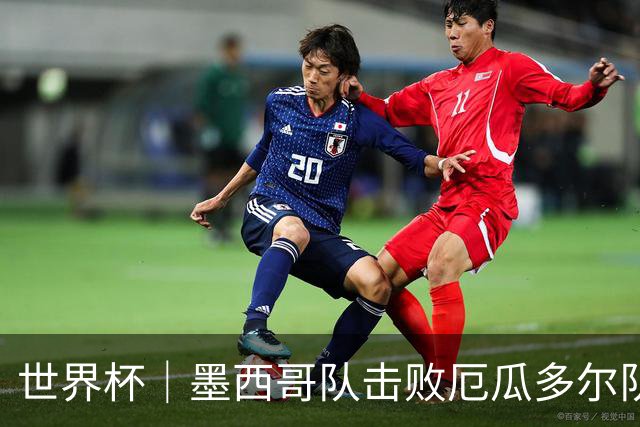 世界杯｜墨西哥队击败厄瓜多尔队晋级16强