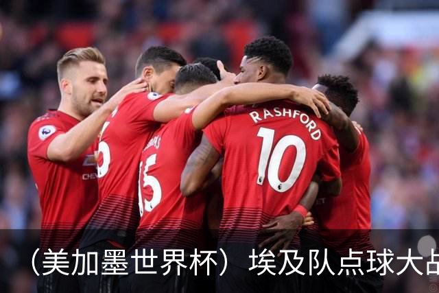 （美加墨世界杯）埃及队点球大战胜澳大利亚队 亚足联队伍全部出局